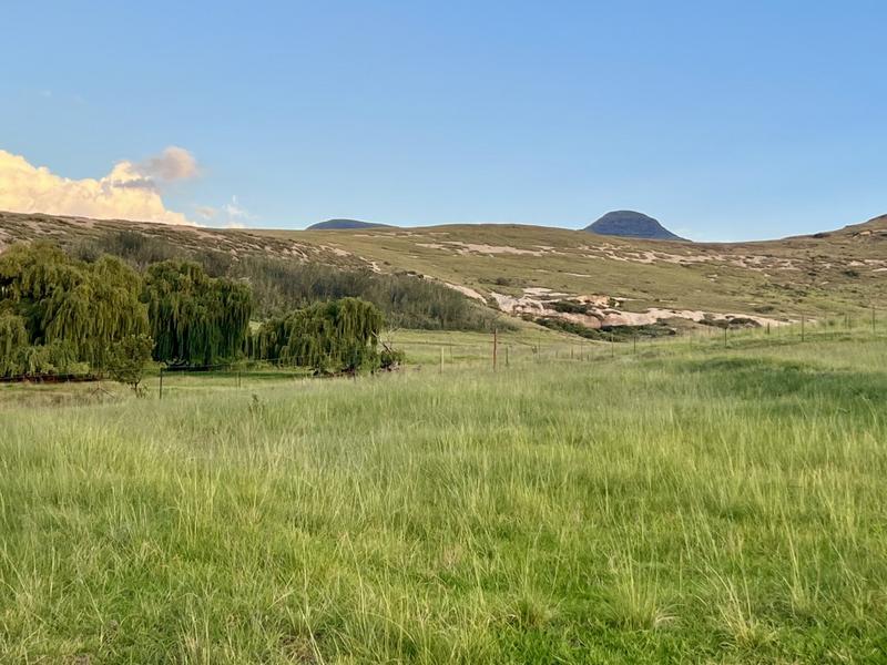 0 Bedroom Property for Sale in Fouriesburg Free State